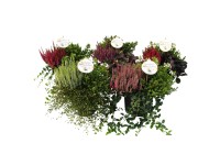 Landgard Mix podzimních rostlin v květináči pr. 23 cm
