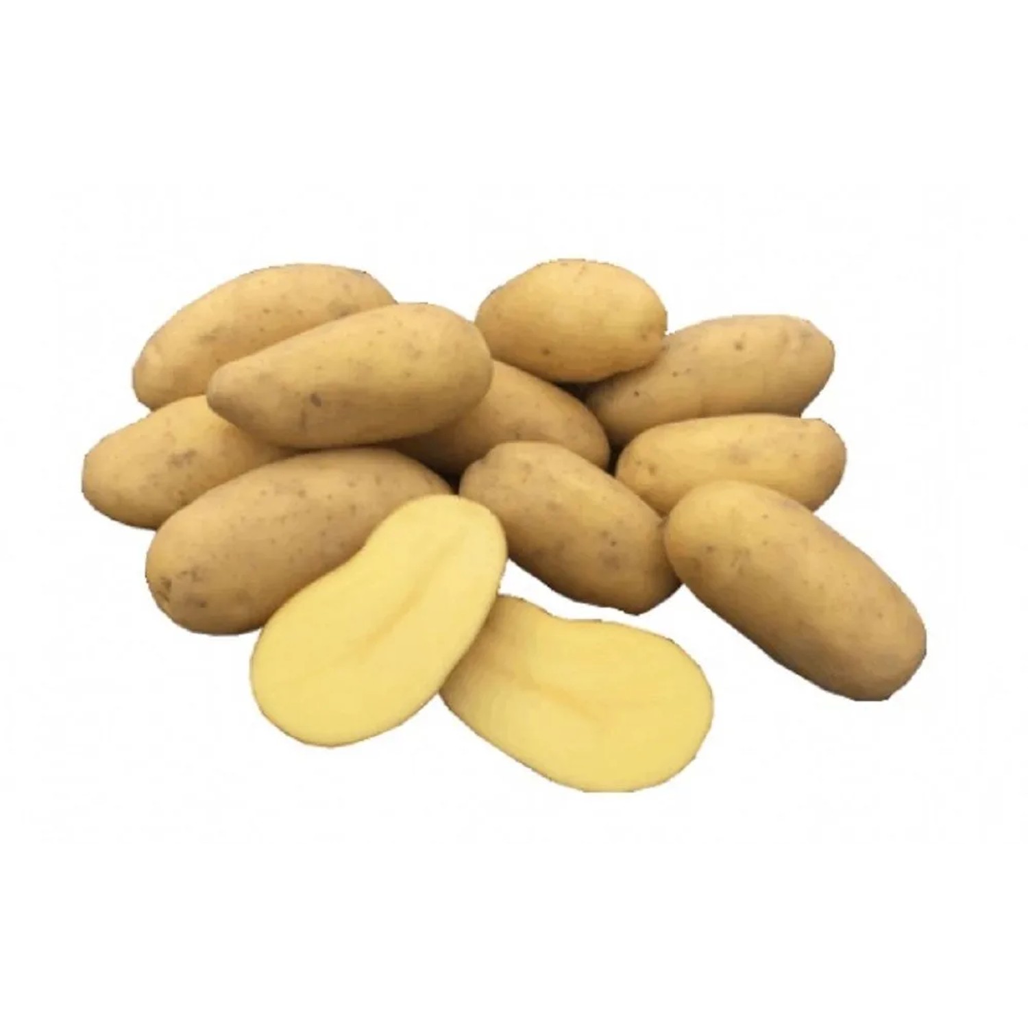 Organické sadbové brambory "Sunita", 1 kg