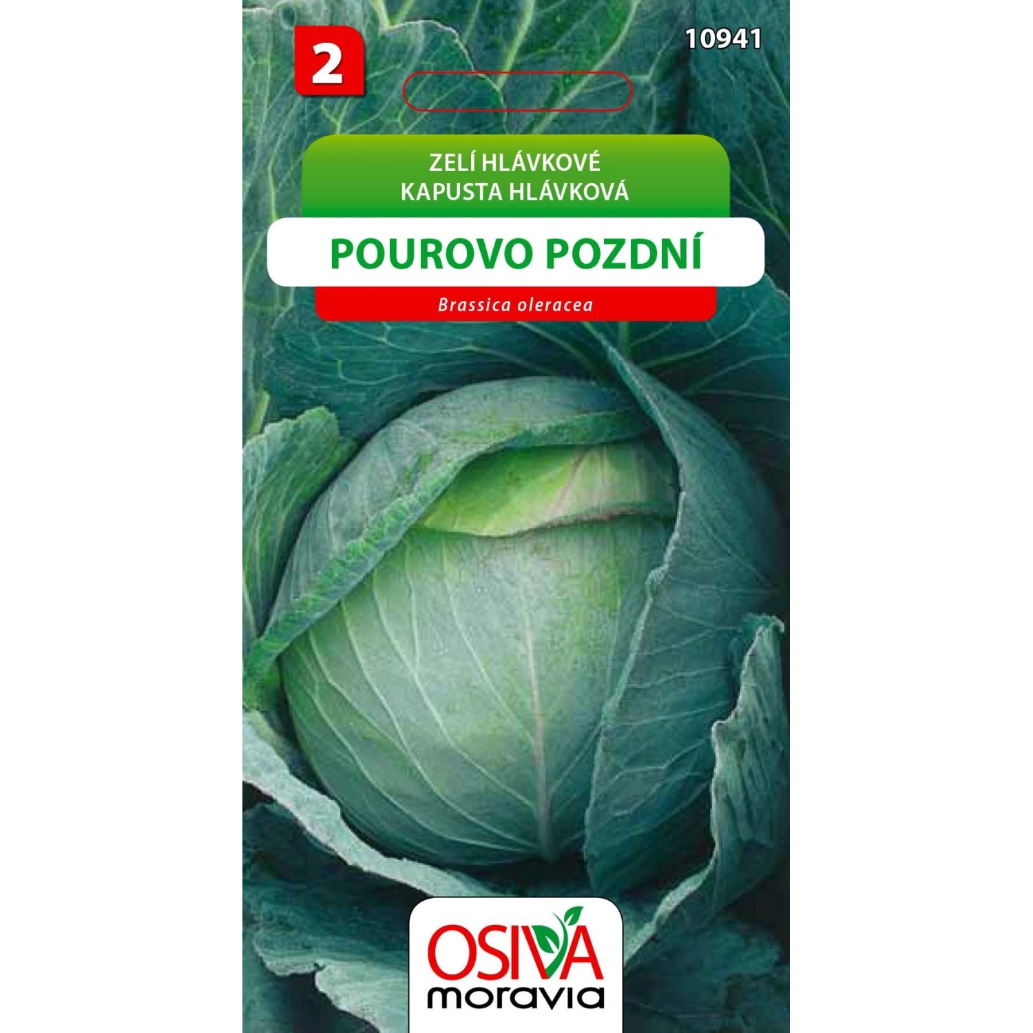 Semínka Zelí hlávkové Pourovo pozdní (Brassica oleracea)