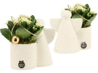 Aranžmá s kolopejkou (Kalanchoe blossfeldiana) v keram. kv. Aranžmá s kolopejkou (Kalanchoe blossfeldiana) v keram. kv.