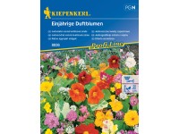 Kiepenkerl Semínka Jednoletá vonná květinová směs