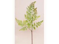 Větvička Kapradí 66 cm x 29 cm tmavě zelená