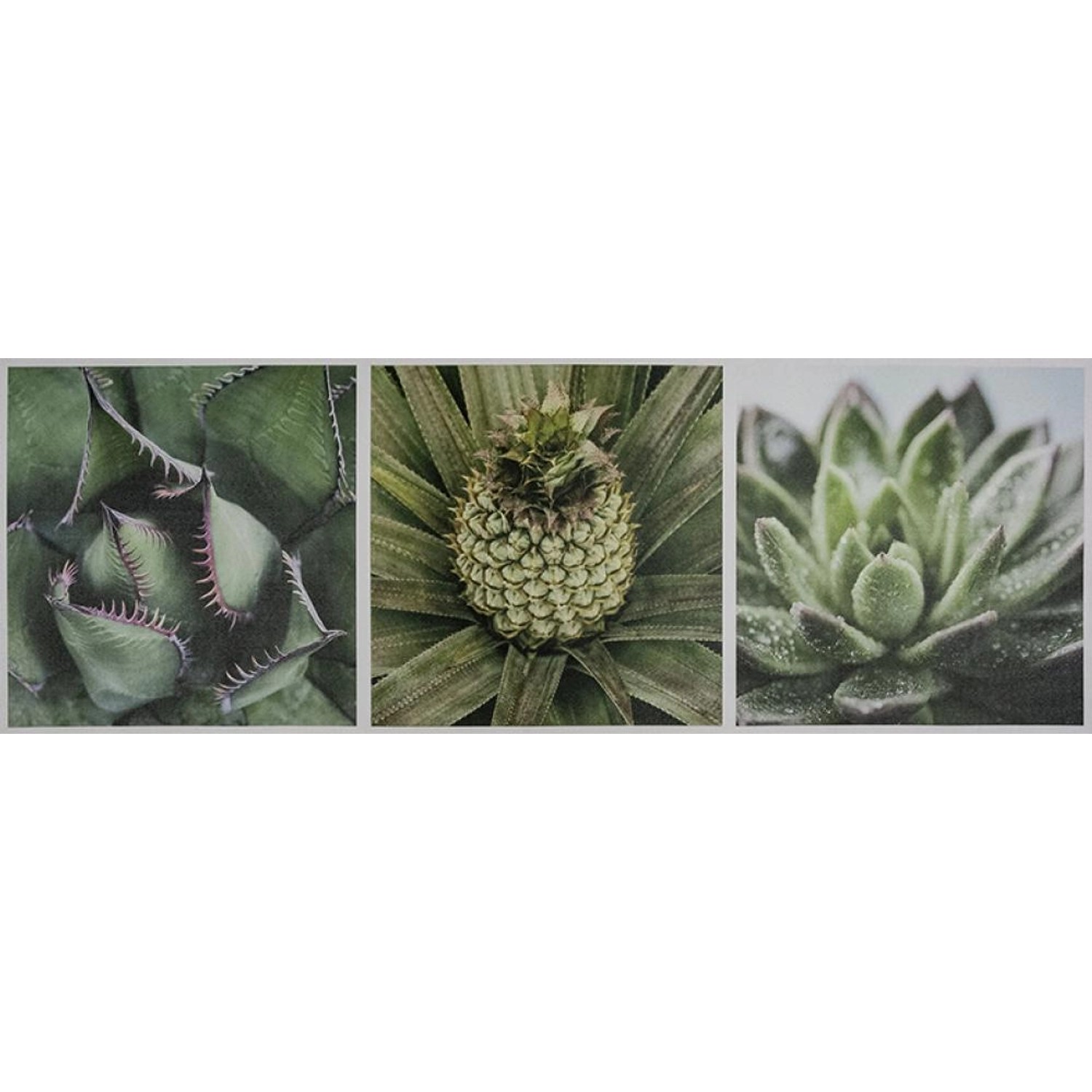 FALC Obraz tištěný na plátně Květy 50 x 150 cm