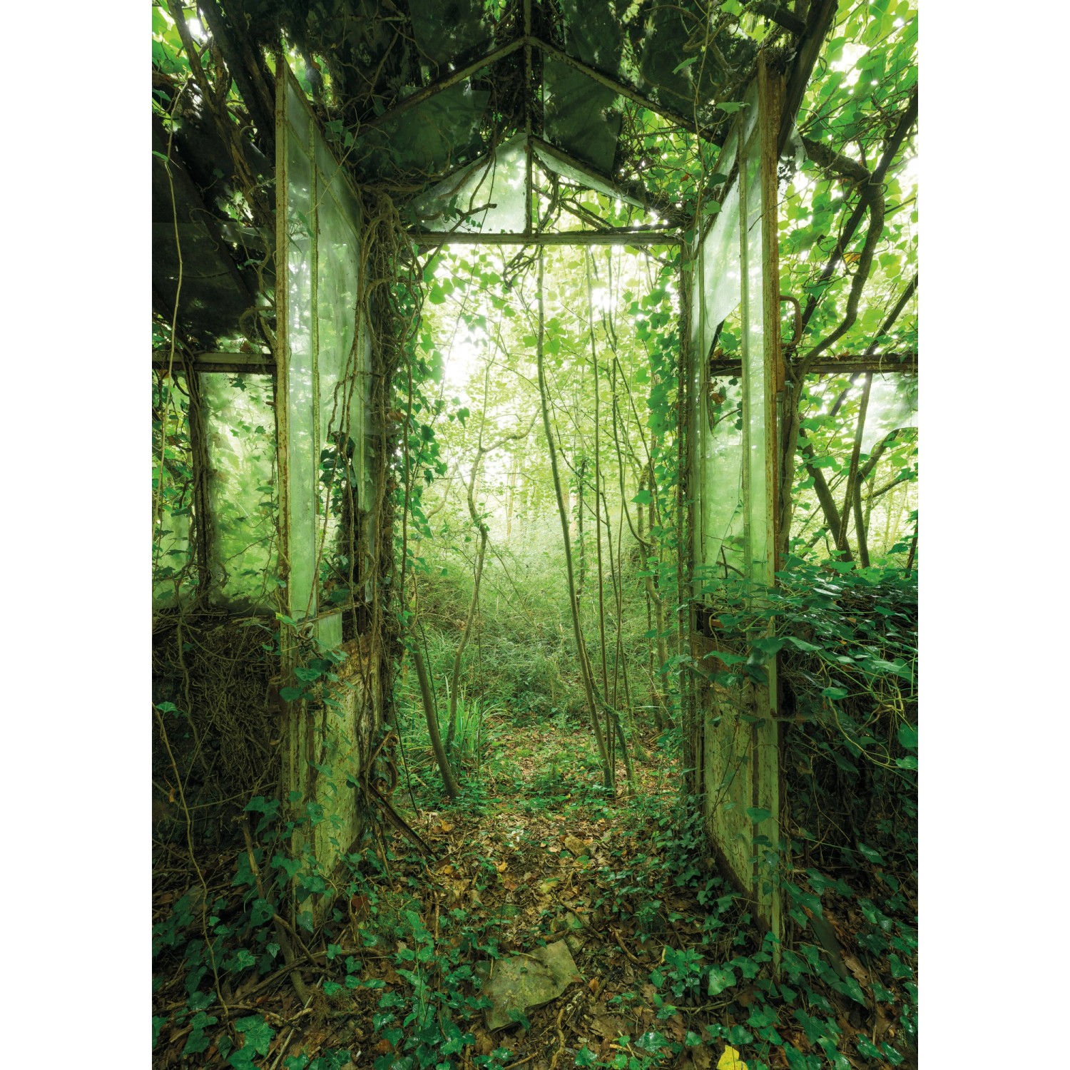 Komar Vliesová fototapeta Greenhouse 200 x 280 cm