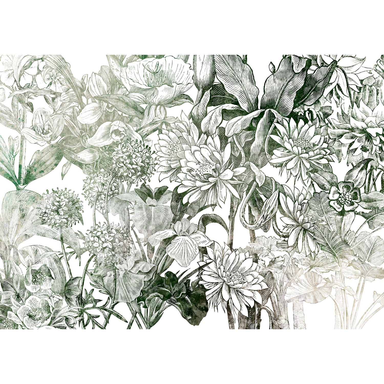 Komar Vliesová fototapeta Valerie 350 x 250 cm