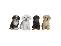 Sunny Garden Dekorativní figurka psa různé druhy 15 cm, 1 ks