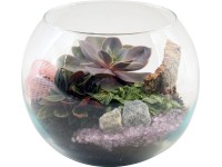 Aranžmá zelených rostlin ve skleněné nádobě pr. květináče cca 20 cm