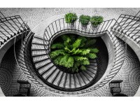 Bondecor Obraz, tištěné plátno Trendy 70 x 110 cm