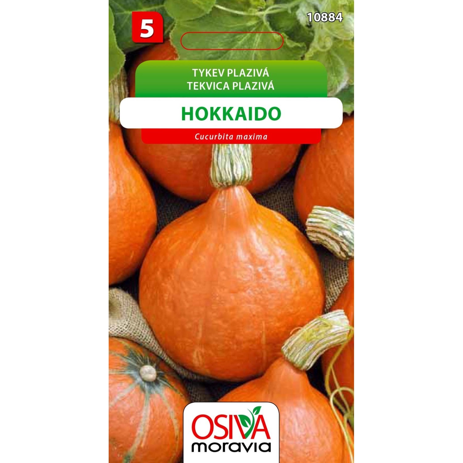 Tykev - Hokkaido (Cucurbita maxima)