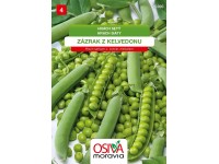 Semínka Hrách setý 