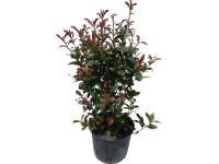 OBI Blýskalka OBI Blýskalka