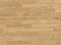 Living by Haro Vzorek podlahy selské prkno 2V dub strukurovaný 180x290x12 mm Living by Haro Vzorek podlahy selské prkno 2V dub strukurovaný 180x290x12 mm