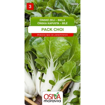 Semínka Čínské zelí bílé Pack Choi (Brassica rapa var. parachinensis)