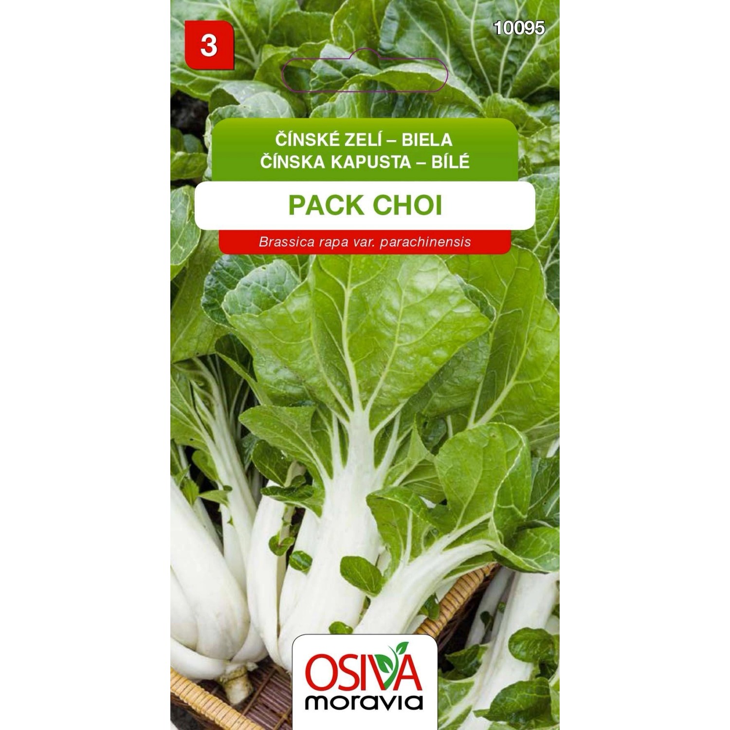 Semínka Čínské zelí bílé Pack Choi (Brassica rapa var. parachinensis)
