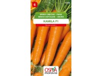 Mrkev Obecná - Raná (Daucus carota L.)