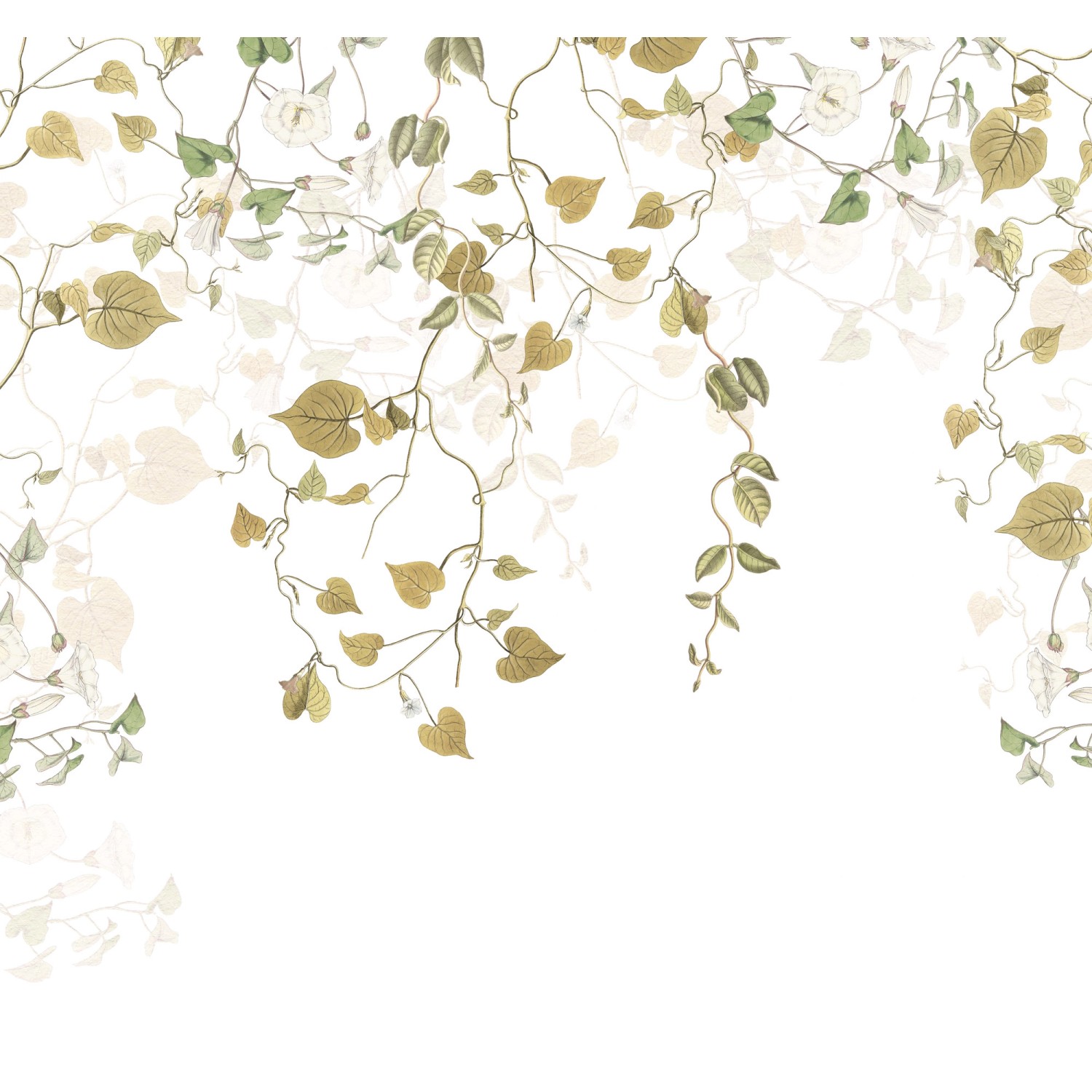 Komar Vliesová fototapeta Hedera 300 x 280 cm