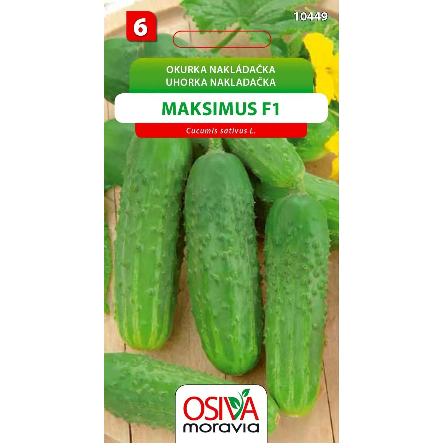 Okurka Nakladačka - Maksimus F1 (Cucumis sativus L.)