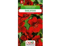 Osiva Moravia Semínka květin Lichořeřišnice nízká - šarlatová