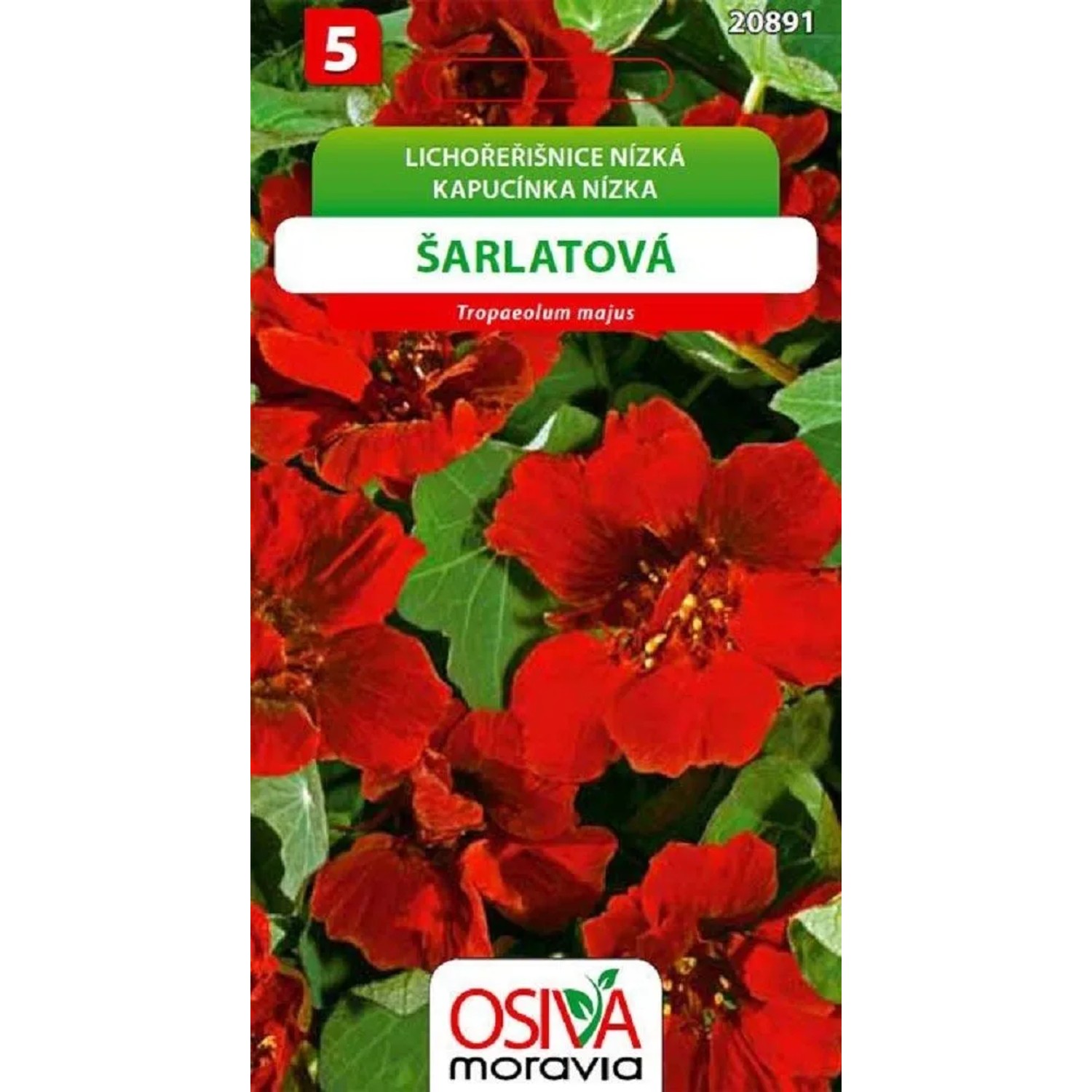 Osiva Moravia Semínka květin Lichořeřišnice nízká - šarlatová