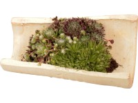 Royal Lemkes Netřesk (Sempervivum), dekorativní miska do exteriéru, pr. 25 cm