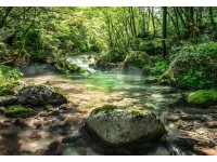 Komar Papírová fototapeta Riverbed, 368 x 254 cm Komar Papírová fototapeta Riverbed, 368 x 254 cm