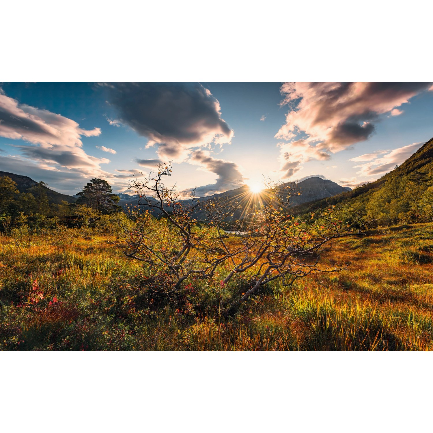 Komar Vliesová fototapeta Norwegische Herbstwelten 450 x 280 cm