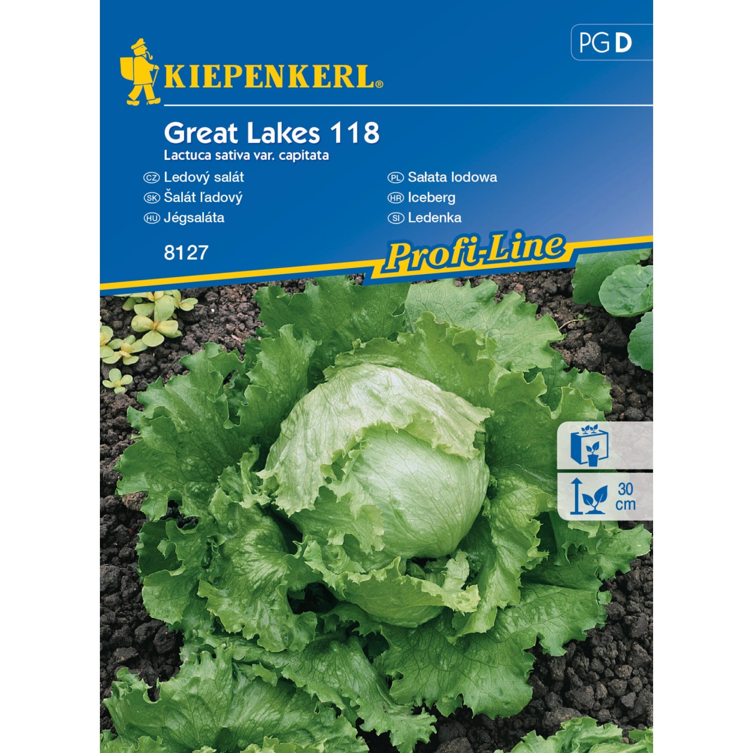 KIEPENKERL Ledový salát (Lactuca sativa var.capitata) Great Lakes 118
