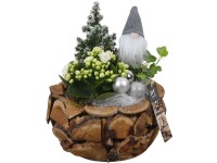 Zimní aranžmá kolopejky, břečťanu a cypřišku v dřevěném kv., pr. 24 cm Zimní aranžmá kolopejky, břečťanu a cypřišku v dřevěném kv., pr. 24 cm