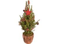 Vánoční stromeček ozdobený Smrk sivý v květináči a dřevěné nádobě pr. 16,5 cm Vánoční stromeček ozdobený Smrk sivý v květináči a dřevěné nádobě pr. 16,5 cm