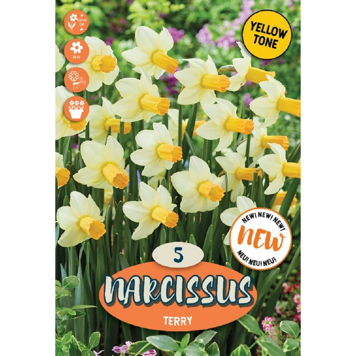 Royal De Ree Holland Květinové cibulky Narcis Terry