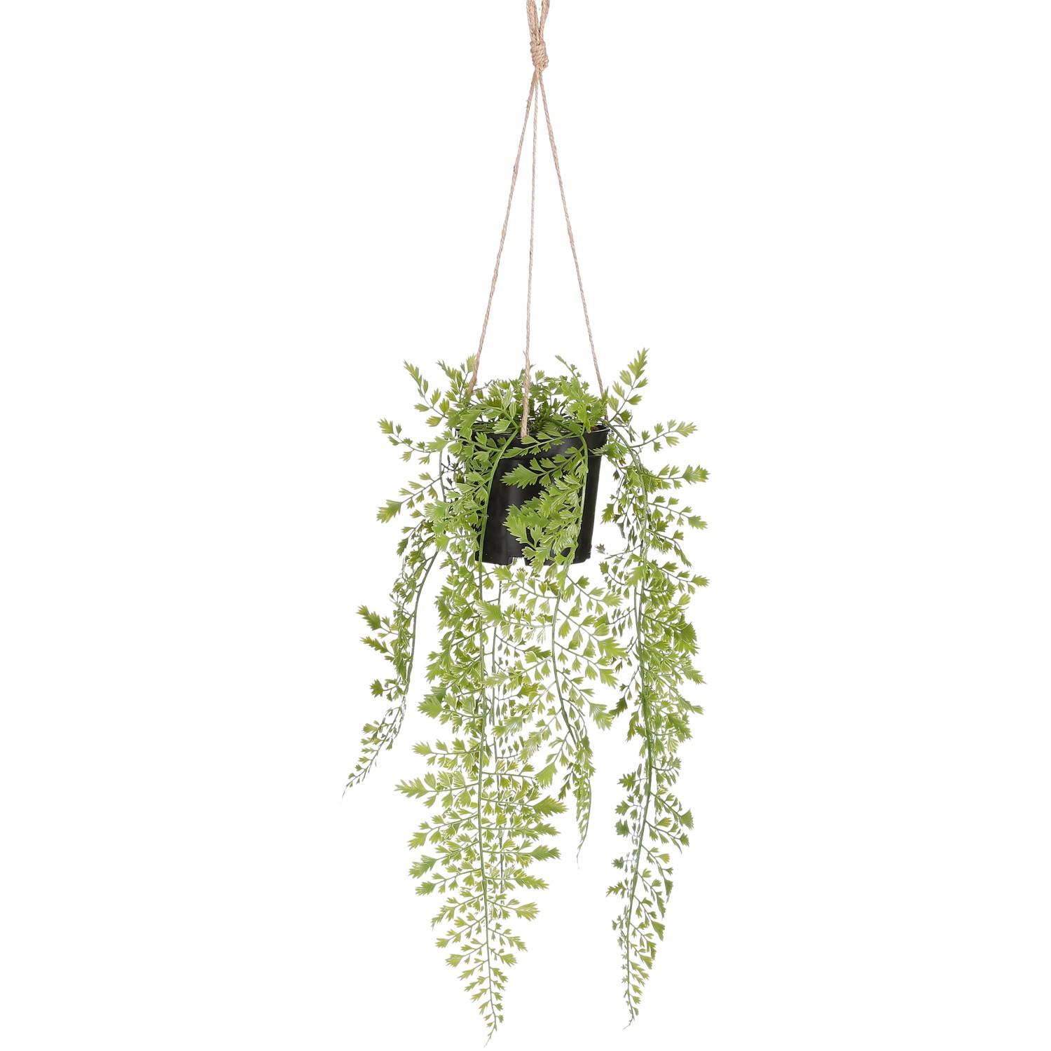 Mica Decorations Umělá rostlina Adiantum v květináči, zelená, 47 x 20 cm