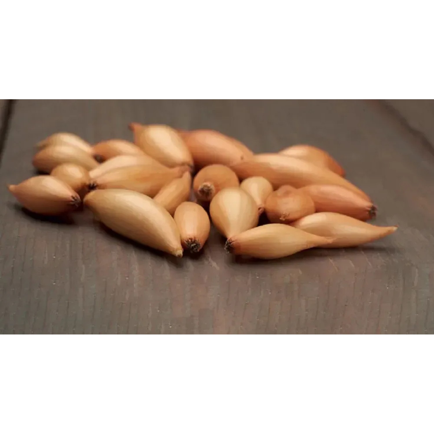 GardenSeed Premium Cibule sazečka Birnformige, 250 g