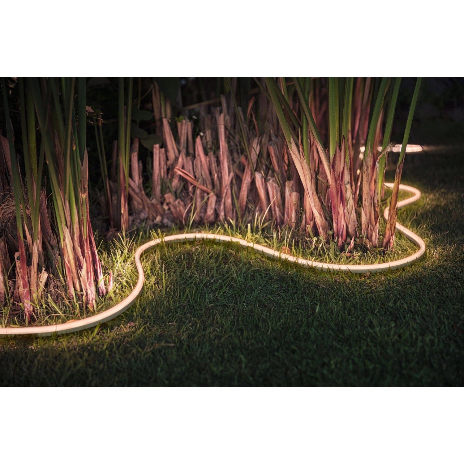 Philips Hue Světelný pásek White&Color Ambiance Lightstrip Outdoor, 2 m