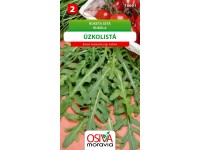 Semínka Roketa setá úzkolistá (Eruca vesicaria ssp. sativa)