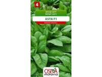 Špenát Setý - Asta F1 (Spinacea oleracea L.)