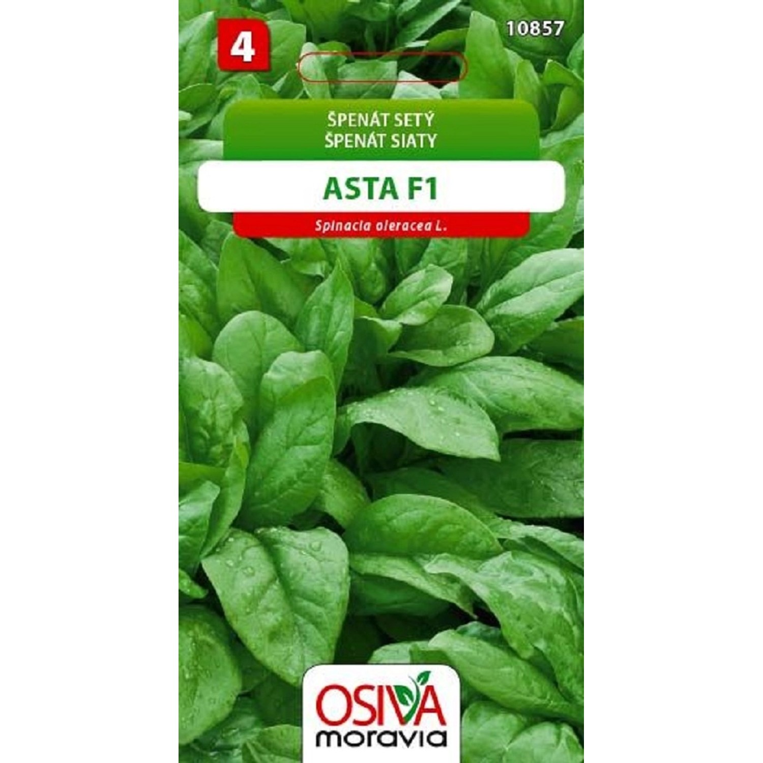 Špenát Setý - Asta F1 (Spinacea oleracea L.)