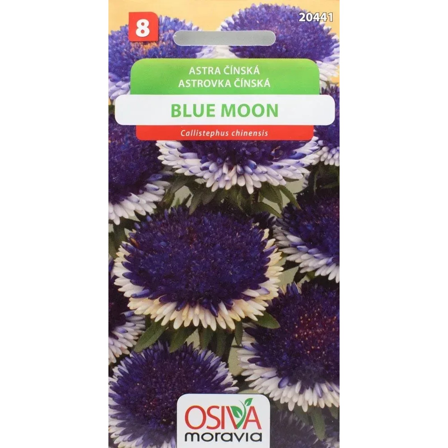 Semínka Astra čínská Blue Moon (Callistephus chinensis)