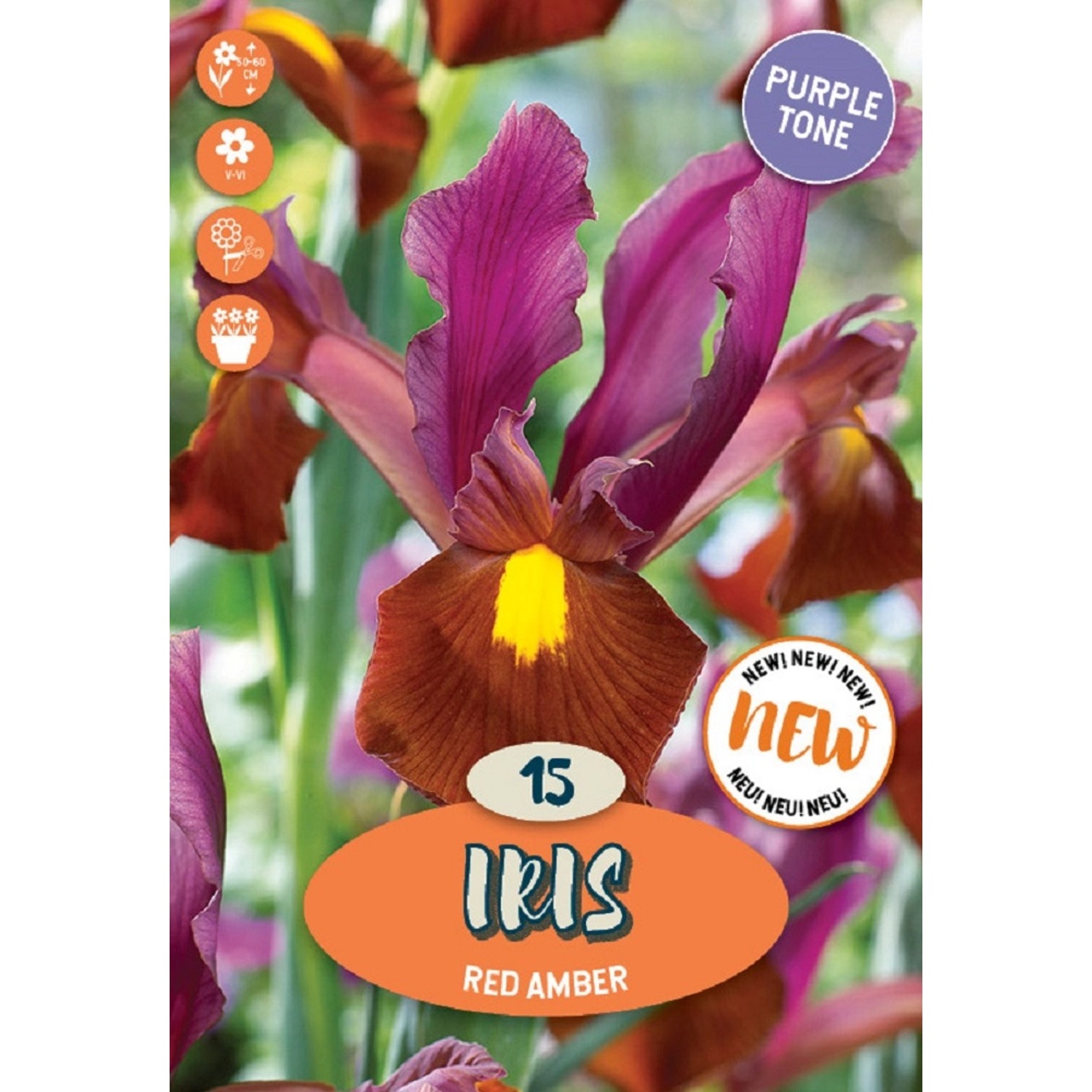 Royal De Ree Holland Květinové cibulky Kosatec Red Ember