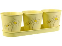 Sada zinkového květináče na bylinky, květinový potisk, žlutá, 4dílná