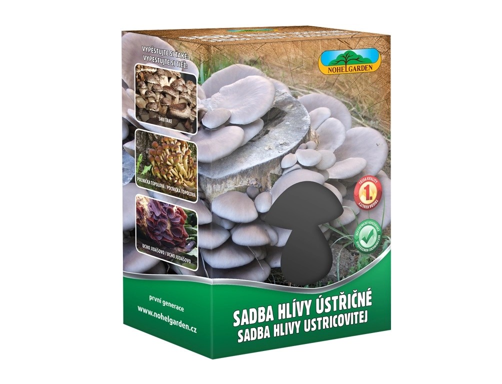 Hliva Ustricna Sadba Prodej