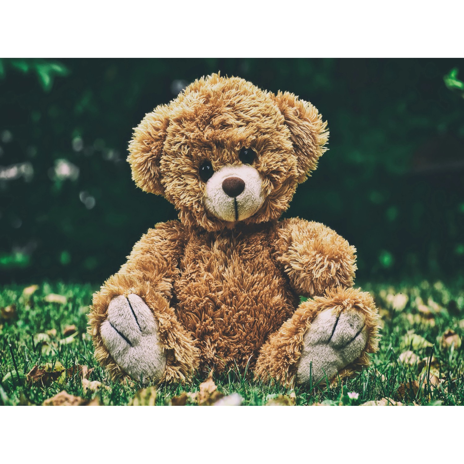 Bondecor Obraz, tištěné plátno Trendy 60 x 80 cm