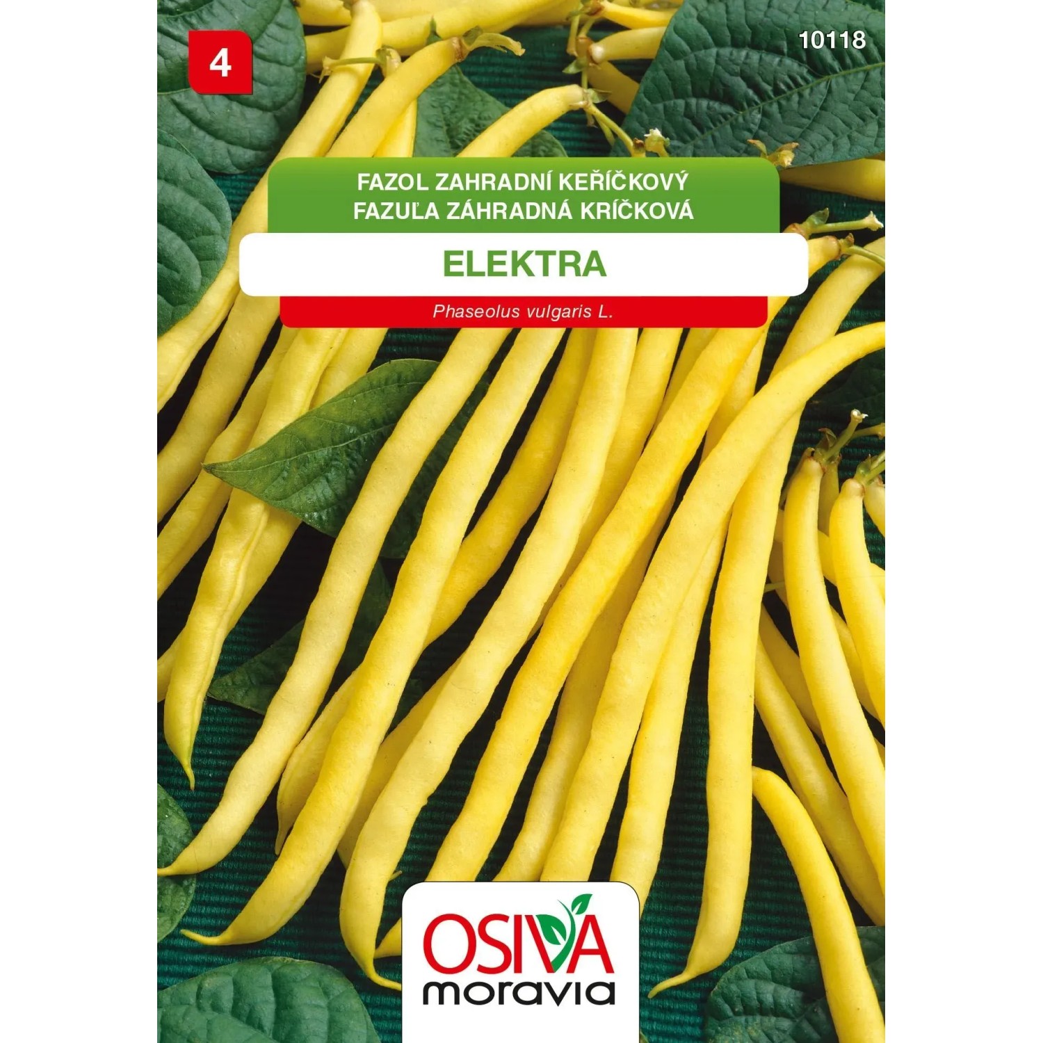 Semínka Fazol zahradní keříčkový Elektra (Phaseolus vulgaris L.)