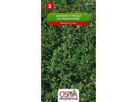 Saturejka Vytrvalá horská (Satureja montana) Saturejka Vytrvalá horská (Satureja montana)