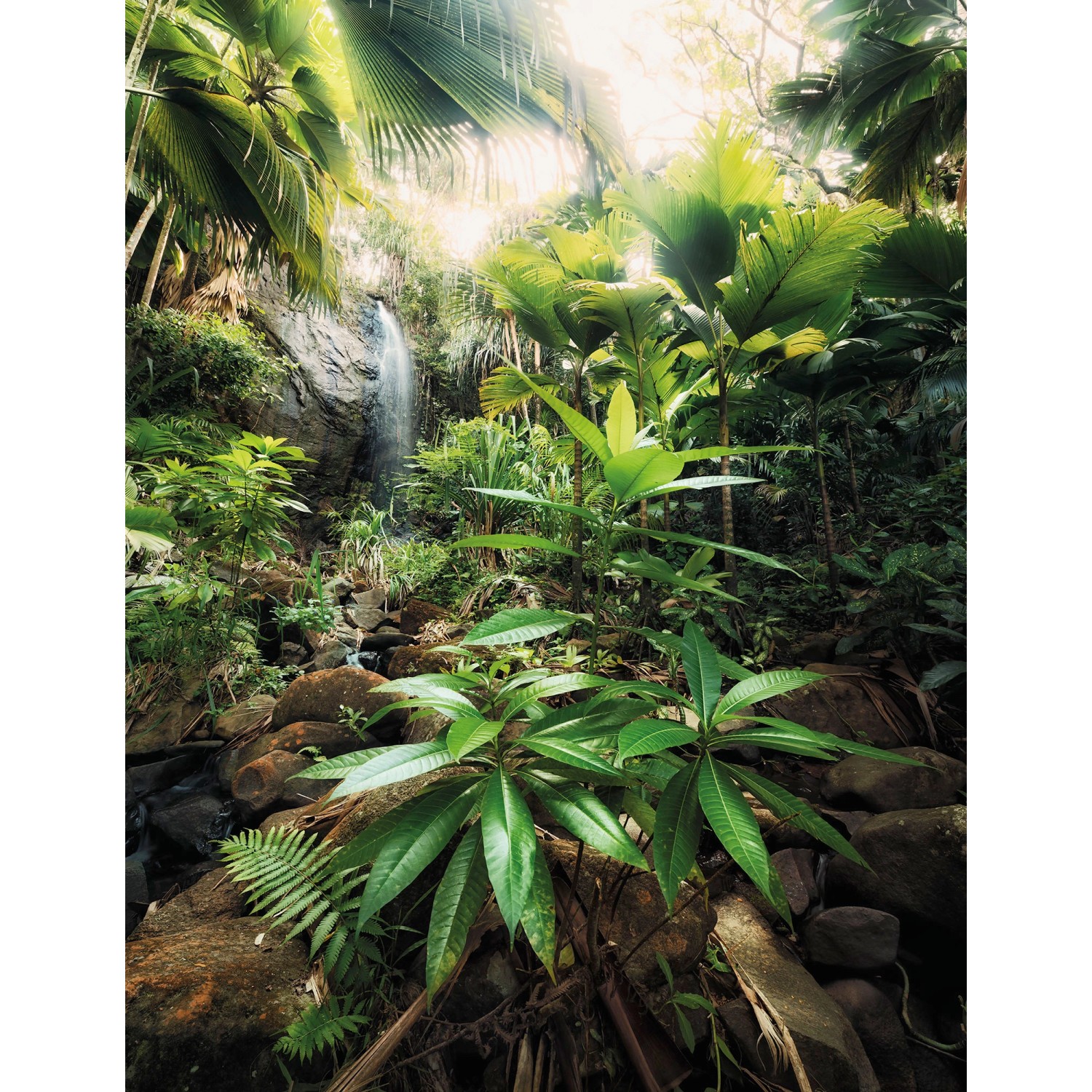 Komar Vliesová fototapeta Spirit 200 x 250 cm