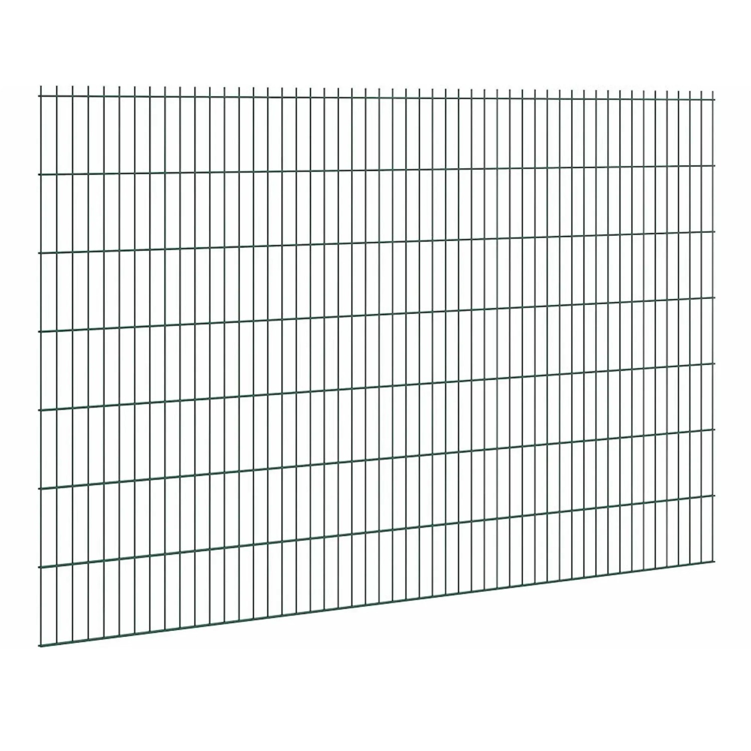Floraworld Drátěný plotový panel, dvojitý 6/5/6, zelená, 143 x 251 cm