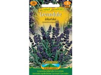Gardenie Levandule lékařská Gardenie Levandule lékařská