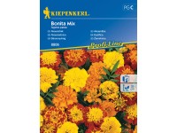 Kiepenkerl Semínka Aksamitník Bonita mix Kiepenkerl Semínka Aksamitník Bonita mix