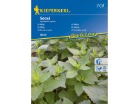 Kiepenkerl Máta Seoul Kiepenkerl Máta Seoul