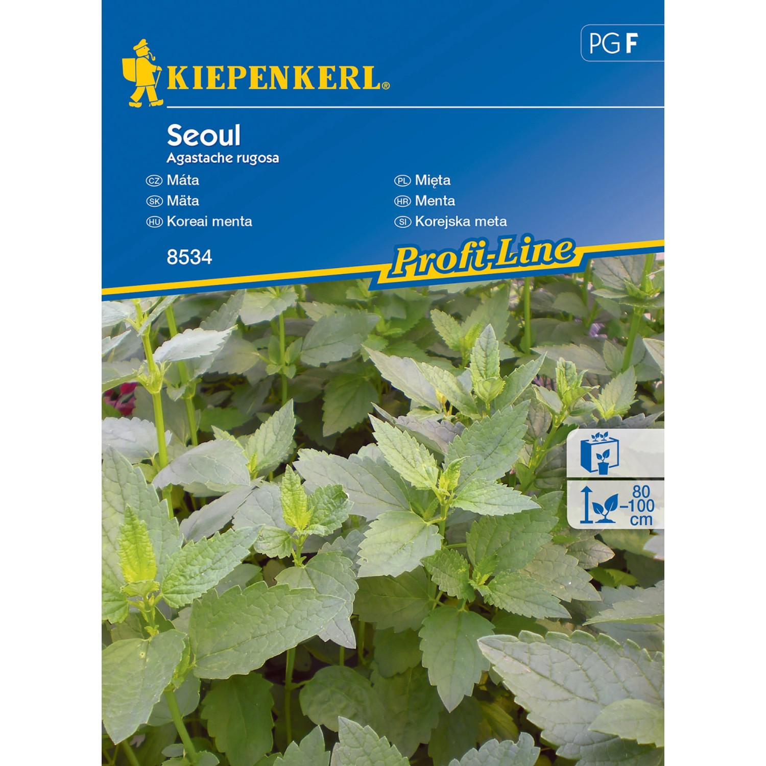 Kiepenkerl Máta Seoul