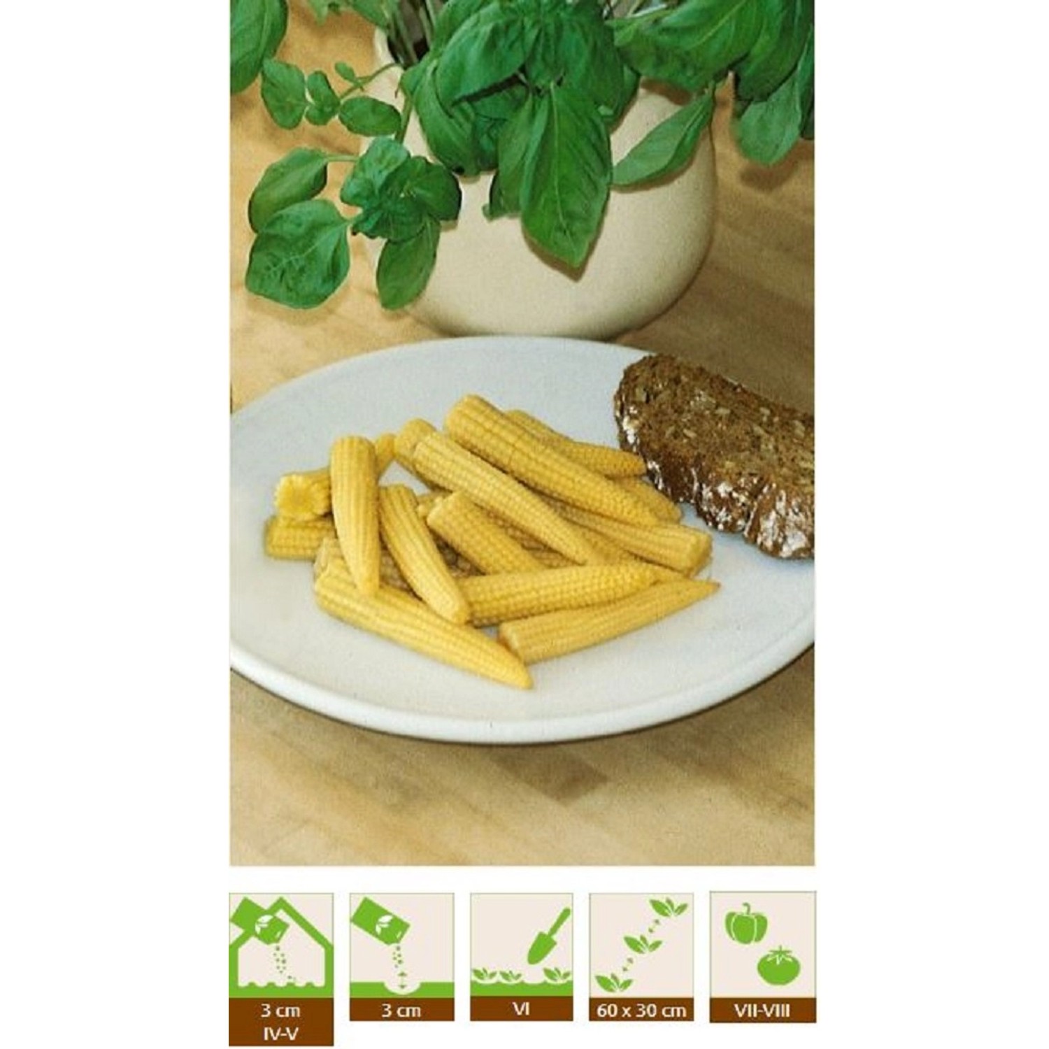 GardenSeed Premium Semínka Kukuřice Minigold, 3 g